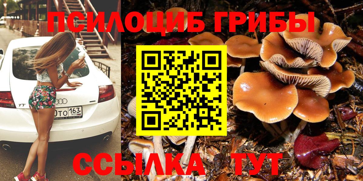 Псилоцибиновые грибы Psilocybe  Галлюциногенные грибы мицелий  Вход с VPN  Златоуст 
